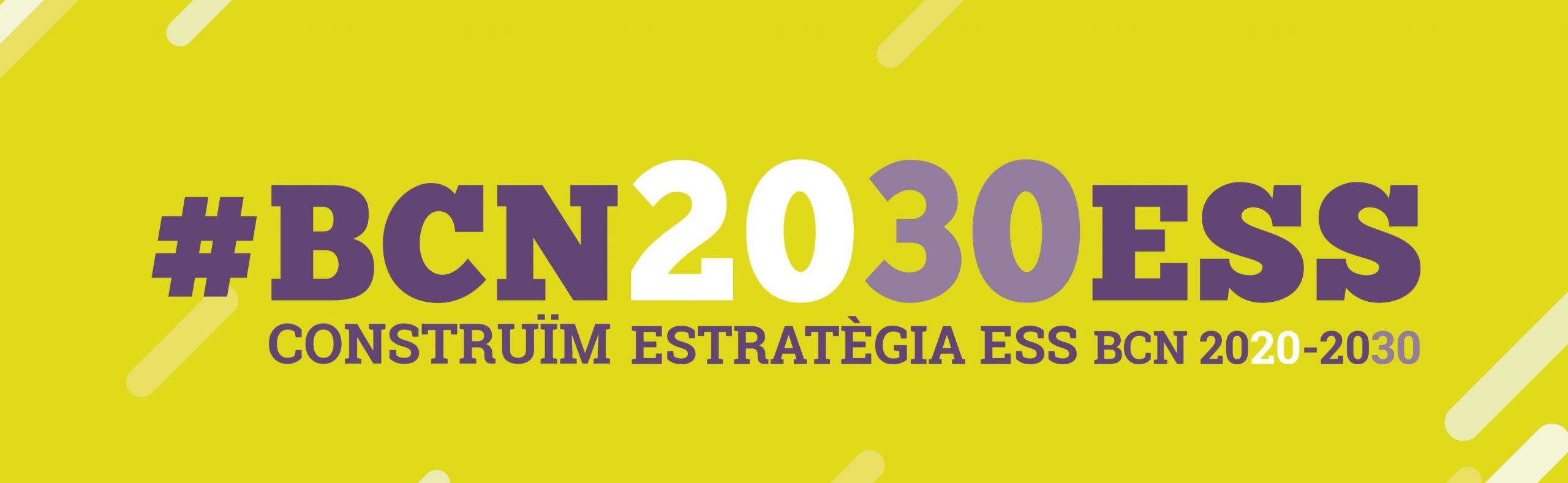 Estratègia_ESS_2030